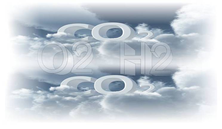 Gas analyzers for cryopreservation rooms 2